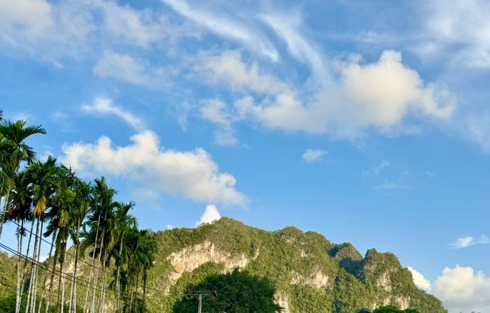 Hills & Hush Khao Sok Eco Resort