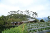 Thao Nguyen Homestay Ta Xua - 2つ星