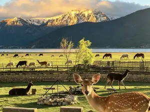 Golden Rhythm Wild Courtyard, Shangri-La Lakeside Ranch