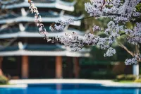 Anantara Guiyang Resort - Rooftop Pools