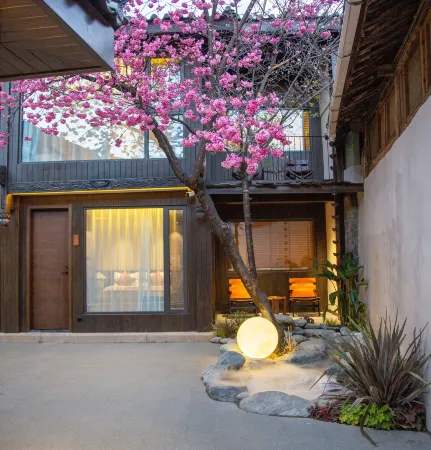 Jingshan Yuanmeisu (Lijiang Ancient City Mufu Branch)