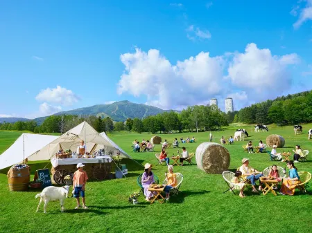 Hoshino Resorts RISONARE Tomamu Отели в г. Симукаппу