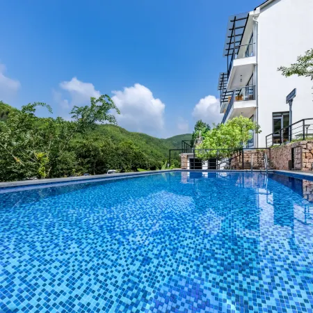 Wuji Fine•Mogan Mountain resort hotel