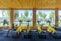 Turks Tianyue Ecology Hotel Hotels in Tekes