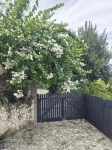 Dolphin House Resort Moalboal - Scenic