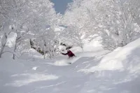 SANSUI NISEKO - palestra