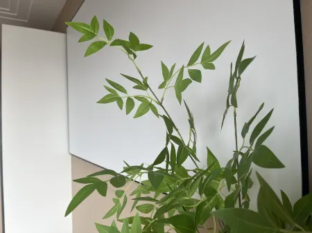 Picasso Apartment (Tianjin Nankai University) Отели рядом с достопримечательностью «Nankai University Element Institute (Weijin Road)»