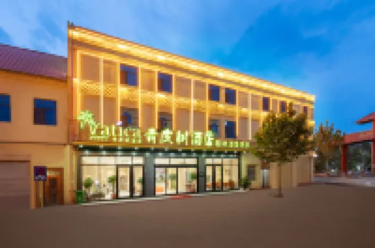 Vatica Hotel Hotels in Kashgar