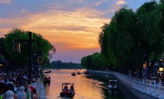 The Purple Horse(the Forbidden City，Tiananmen)