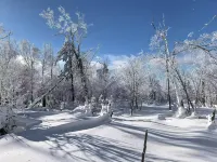 Xueyaoju · 270° Snow View Vacation Designer Villa Boutique Stay (Snow Town Scenic Area) فنادق في ووتشانغ