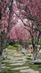 Stone Forest International Hotel - Mountain view