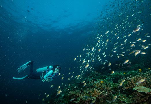 더 타라스 비치 앤드 스파 리조트