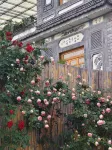 Fragrant Wenquan Courtyard