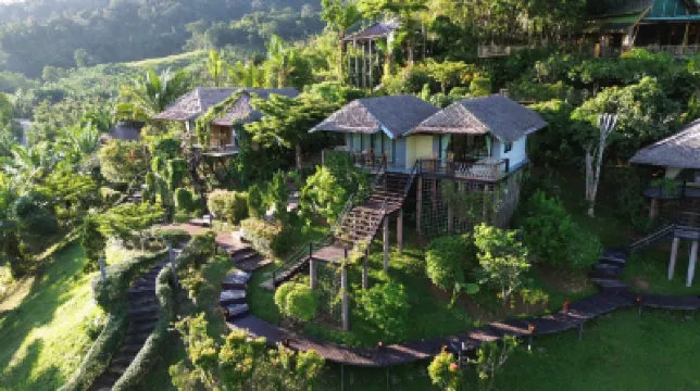 Khaosok Boutique Camps Hotels near Khao Sok