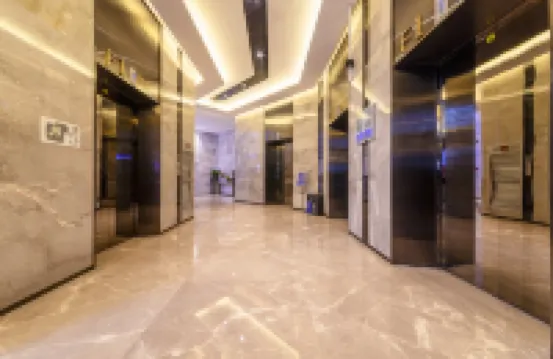 กรีน เลมอน ทรี อินเตอร์เนชั่นแนล อพาร์ตเมนต์ อะมอลล์ บรานช์