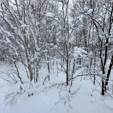 Slow House Niseko with Private Onsen