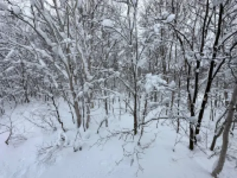 Slow House Niseko with Private Onsen