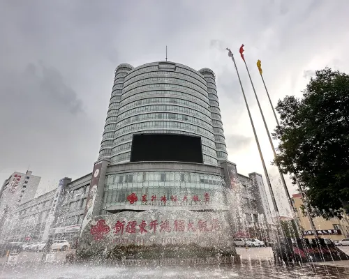 Dongsheng Hongfu Hotel Hotels in Changji