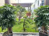 Yining Mo etc. Homestay (Airport)