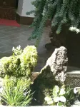 沙溪古鎮歐陽小院中国式旅館 - 駐車場