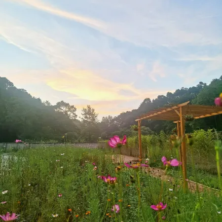 Green  Valley