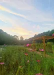 Green  Valley