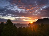 Alishan House Hotels in Chiayi County