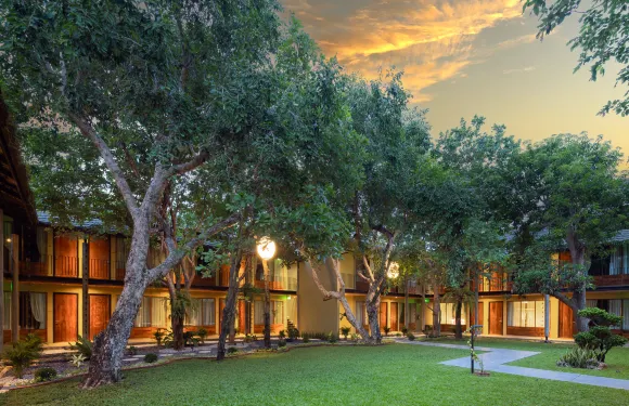 北碧府魔法樹 U