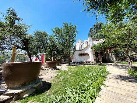 Helan Mountain Rock Art Ancient Village Ancient Forest Homestay