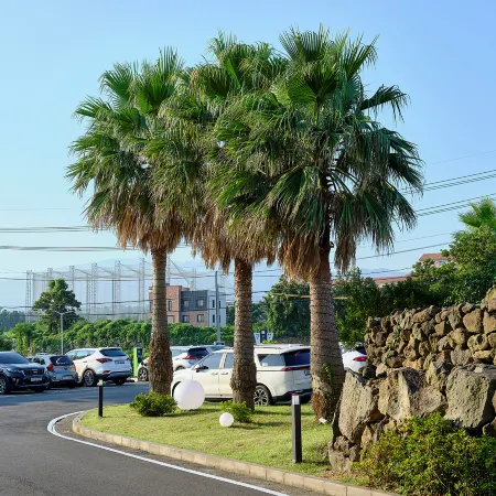 Shin Shin Hotel Jeju City
