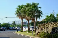 Shin Shin Hotel Jeju City - parkir
