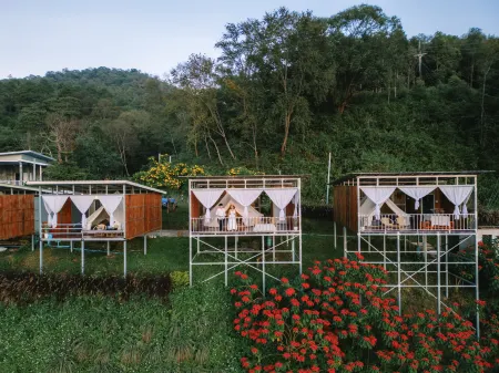 happycamp phuchifa Отели в г. Wiang Kaen