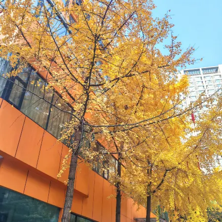 ANYEE· Hualong Hotel