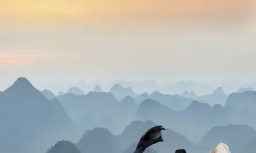Yangshuo Puyuan · Senyang Vila Panoramic Starry Sky Pool Resort Hotel