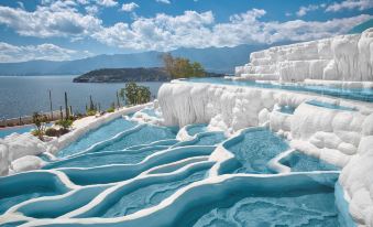 HIHAT Pioneer Art Hotel