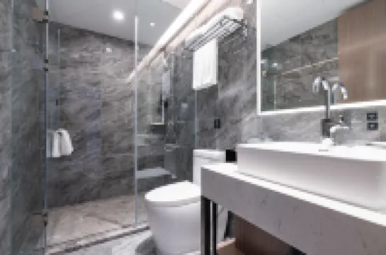 麗呈睿軒酒店（南寧會展中心店）