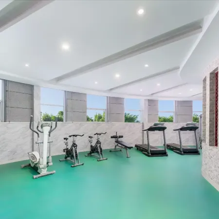 Holiday Inn Yining Enjoy· Yi Banana Leaf (Yining Airport Branch)