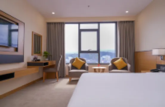 ムオン タン ラグジュアリー ディエン ビエン ホテル ディエンビエンフーのホテル