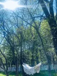 QimuyinEco-friendlyResort Hotels in Yichun
