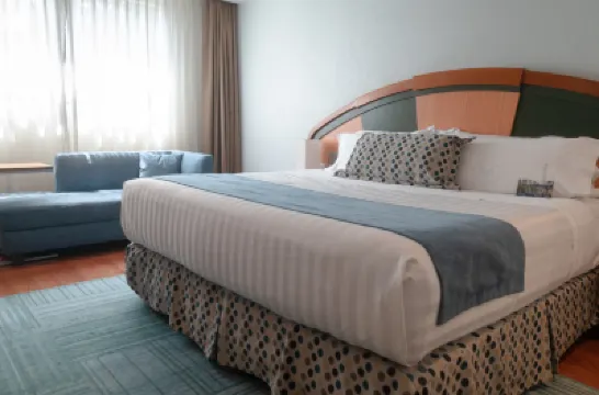 칼리 에스칸돈 멕시코시티 멕시코 공원 주변 호텔