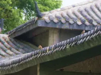 Lan Ting Yard Hotel (Guilin West Railway Station) Hotels in Lingchuan