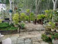 บ้านน้ำทิพย์โฮมสเตย์ตรัง - วิว