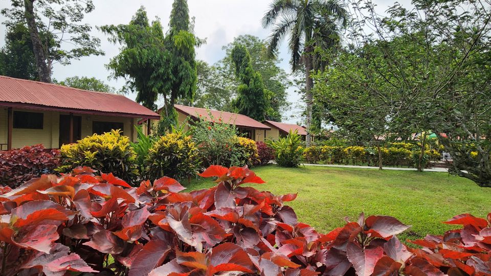 Chitwan Park Resort