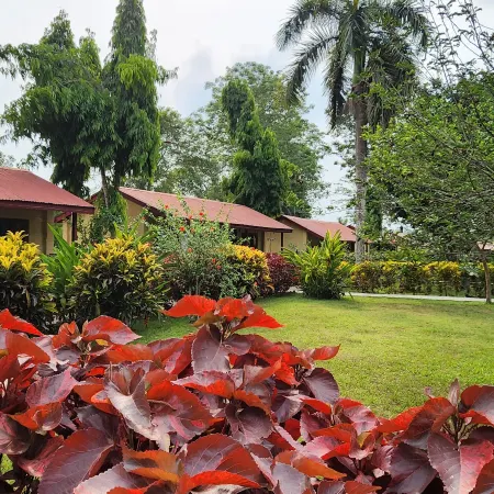 Chitwan Park Resort
