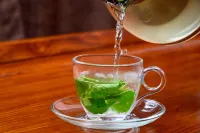 ジャングル マハル ウェルネス リゾート