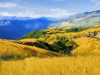 Yu Yong Guesthouse (Longsheng Longji Rice Terraces)