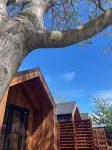 Walnut on Russell