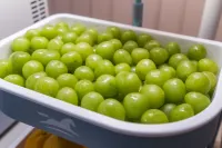 Hanting Hotel (Xuchang Xiangcheng County Government Branch) Hotel a Xiangcheng