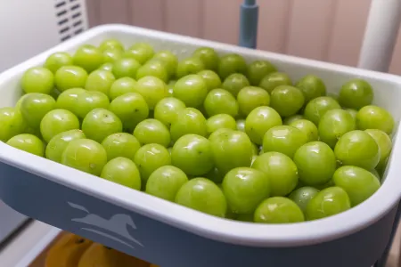 Hanting Hotel (Xuchang Xiangcheng County Government Branch)