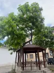 Urba Bona Hotel (Gongliu County People's Square Branch) - Parkering